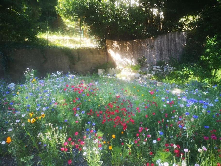 Belle Dependance De 30M2 Avec Terrasse Et Jardin Apartamento Villeneuve-lès-Avignon Exterior foto